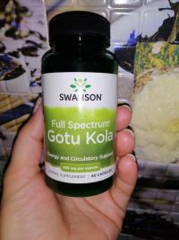 Отзыв - Готу кола, Gotu Kola, Swanson, полного спектра действия, 435 мг, 60 капсул