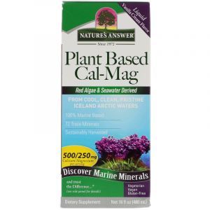 Кальций Магний на растительной основе, Plant Based Cal-Mag, Nature's Plus, вкус ванильного крема, 480 мл