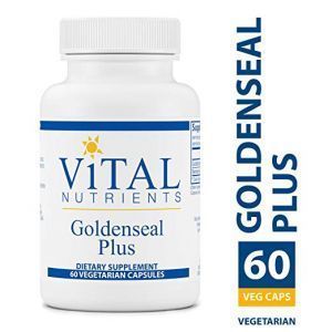 Желтокорень (гидрастис), Goldenseal Plus, Vital Nutrients, 60 вегетарианских капсул