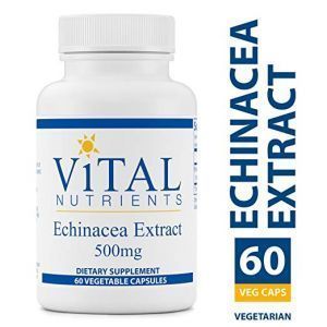 Эхинацея пурпурная, экстракт, Echinacea, Vital Nutrients, 500 мг, 60 вегетарианских капсул