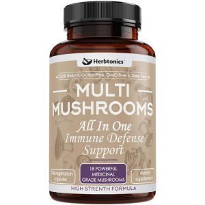 Лечебные грибы, смесь, Multi Mushroom, Herbtonics, 120 вегетарианских капсул