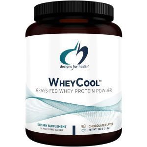 Сывороточный протеин, WheyCool, Designs for Health, вкус шоколада, порошок, 900 г
