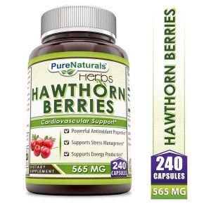 Боярышник, ягоды, Hawthorn Berries, Pure Naturals, 565 мг, 240 капсул