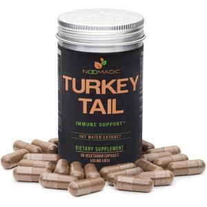 Траметес разноцветный, Turkey Tail Mushroom, Noomadic, 500 мг, 60 вегетарианских капсул  
