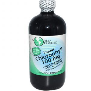 Хлорофилл с мятой, Liquid Chlorophyll, World Organic, 100 мг, 474 м
