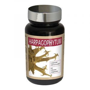 Гарпагофитум, Harpagophytum, NutriExpert, для суставов, 60 капсул

