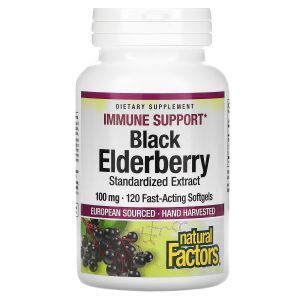 Екстракт чорної бузини, Black Elderberry, Natural Factors, 100 мг, 60 капсул