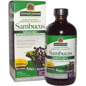 Чорна бузина, Sambucus, Nature's Answer, натуральний смак, 12000 мг, 240 мл