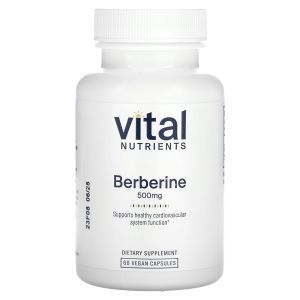 Берберин, Berberine, Vital Nutrients, 500 мг, 60 веганских капсул