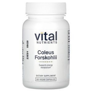 Форсколин, Coleus Forskohlii 10%, Vital Nutrients, 90 мг, 60 вегетарианских капсул
