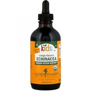 Эхинацея, экстракт корня, Echinacea, Herb Pharm, органик, 30 мл 
