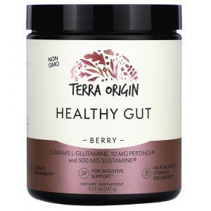 Здоровий кишечник, Healthy Gut, Terra Origin, смак ягід, 243 г